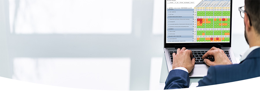 Business prfessional looking at a ViClarity risk report on his laptop